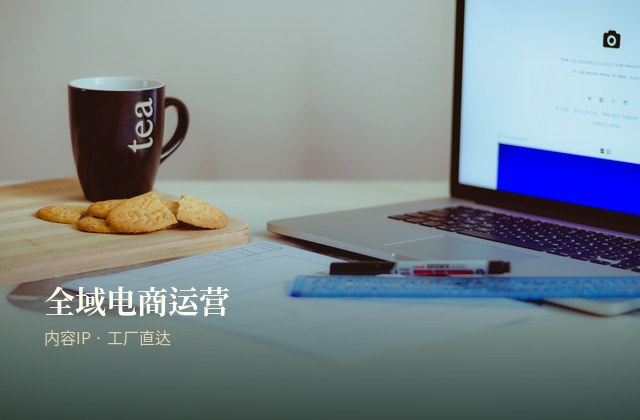 全域电商与内容 IP 运营