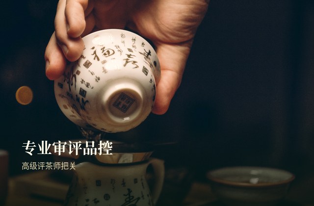 专业审评与制茶团队